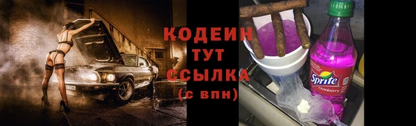 ГАЛЛЮЦИНОГЕННЫЕ ГРИБЫ Алзамай