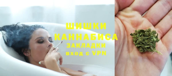 ГАЛЛЮЦИНОГЕННЫЕ ГРИБЫ Алзамай