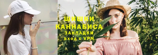 ГАЛЛЮЦИНОГЕННЫЕ ГРИБЫ Алзамай
