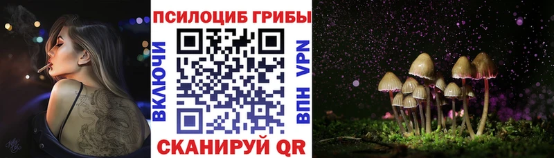 Галлюциногенные грибы Psilocybine cubensis  даркнет сайт  Апшеронск 
