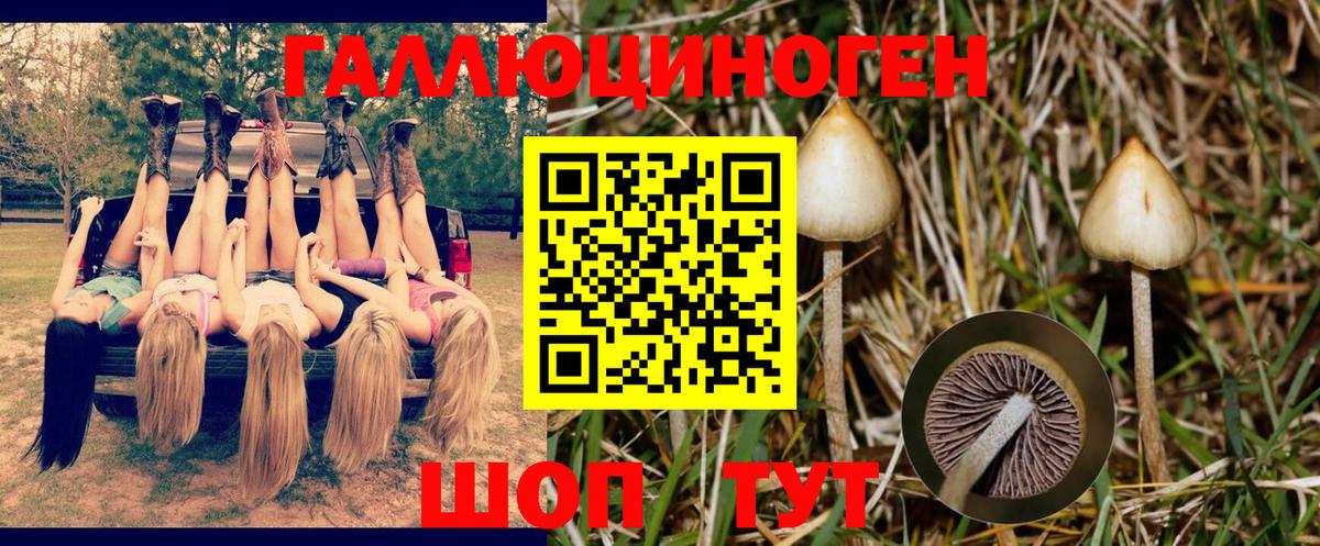 Галлюциногенные грибы прущие грибы  Псилоцибиновые грибы мицелий  Вход с VPN  Апшеронск 