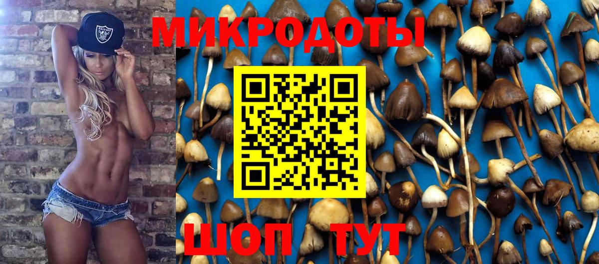 Псилоцибиновые грибы ЛСД Апшеронск